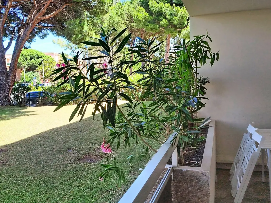 Location de Vacances Bormes-les-Mimosas 133