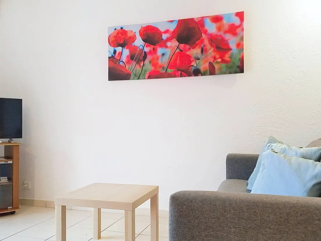 Location de Vacances Bormes-les-Mimosas 167