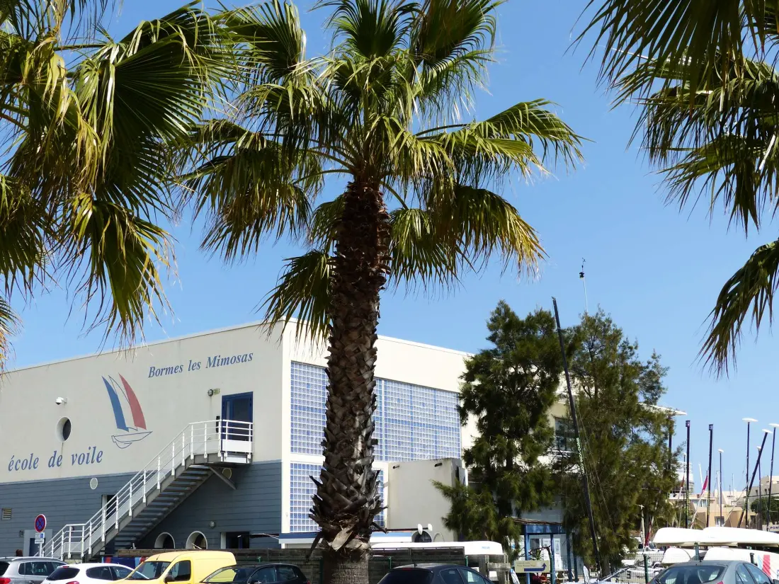 Location de Vacances Bormes-les-Mimosas 173