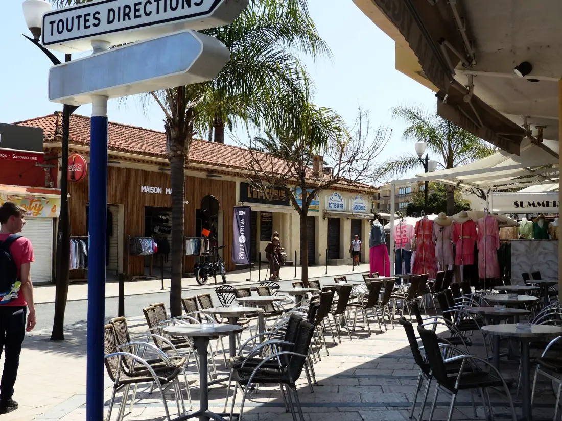 Location de Vacances Bormes-les-Mimosas 173