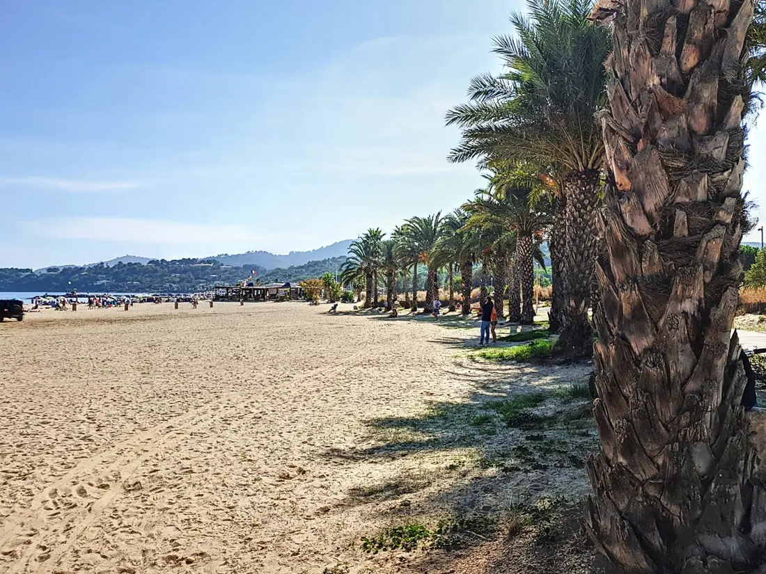 Location de Vacances Bormes-les-Mimosas 185