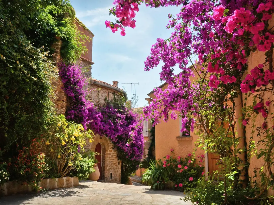 Location de Vacances Bormes-les-Mimosas 194