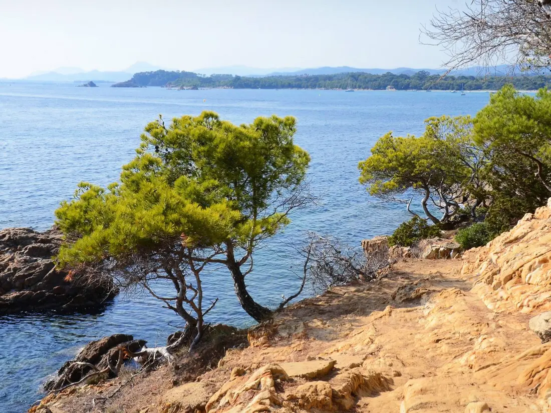 Location de Vacances Bormes-les-Mimosas 194