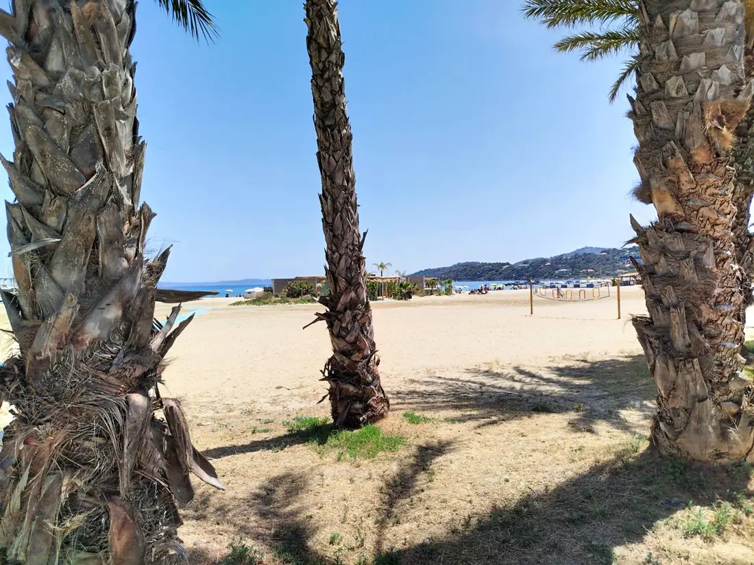 Location de Vacances Bormes-les-Mimosas 194