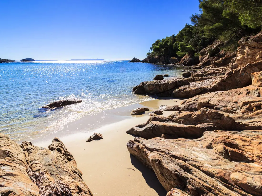 Location de Vacances Bormes-les-Mimosas 213
