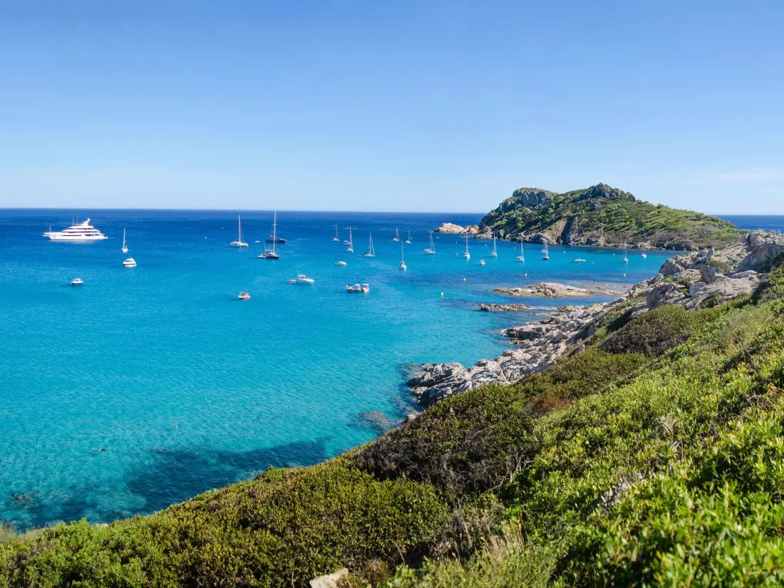 Location de Vacances Bormes-les-Mimosas 219