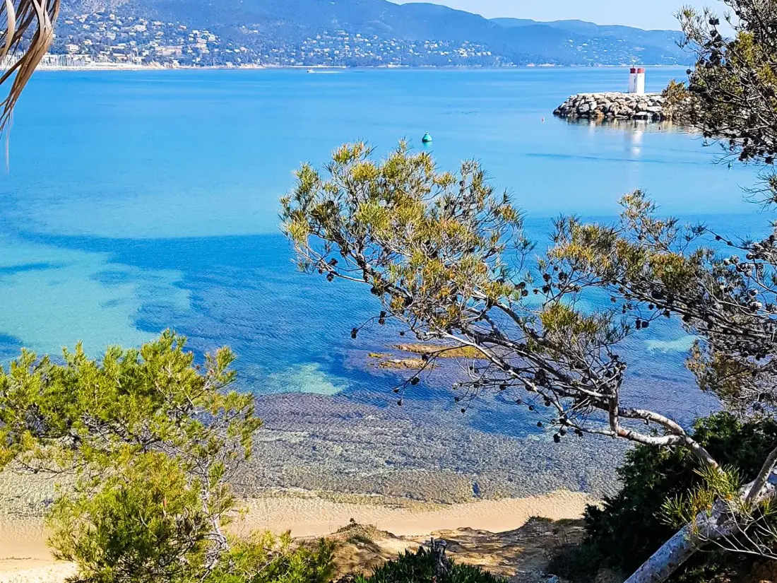 Location de Vacances Bormes-les-Mimosas 223