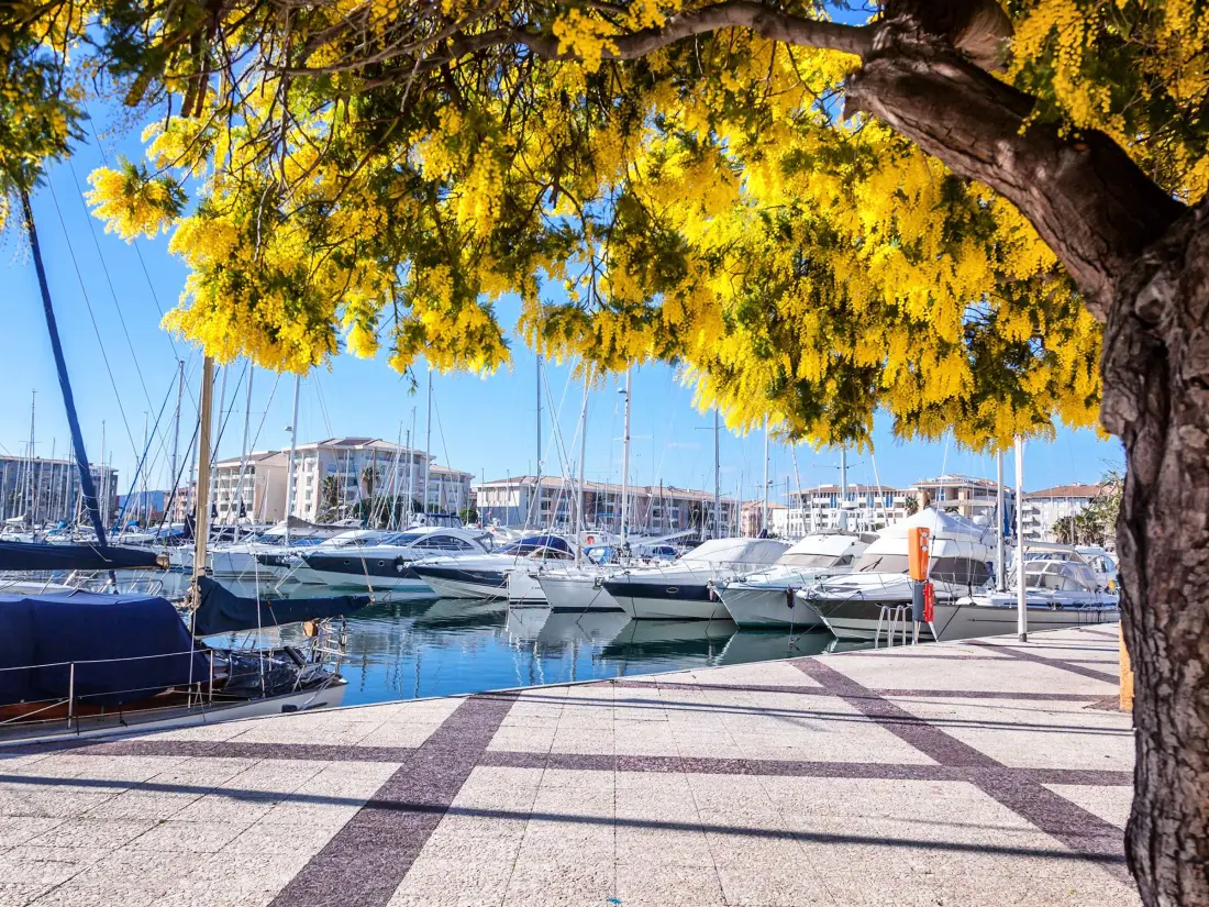 Location de Vacances Bormes-les-Mimosas 230