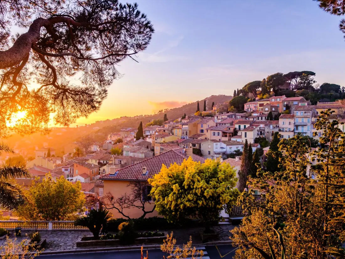 Location de Vacances Bormes-les-Mimosas 231