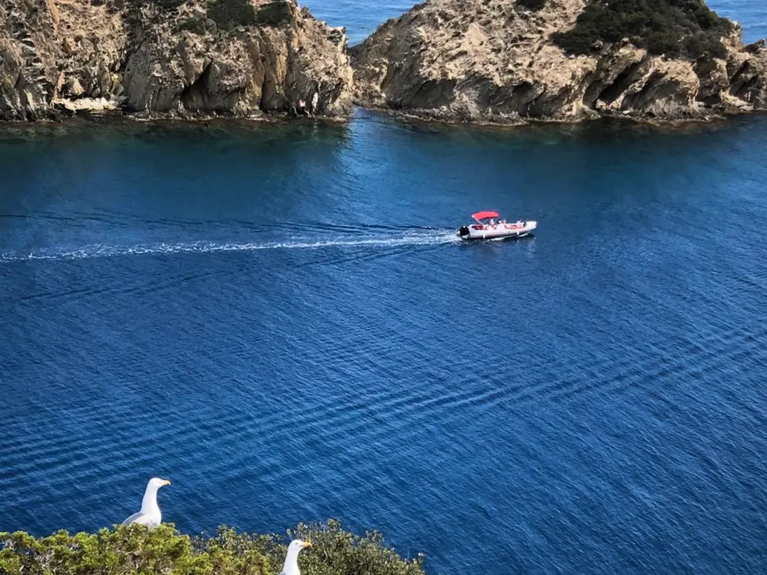 Location de Vacances Bormes-les-Mimosas 249