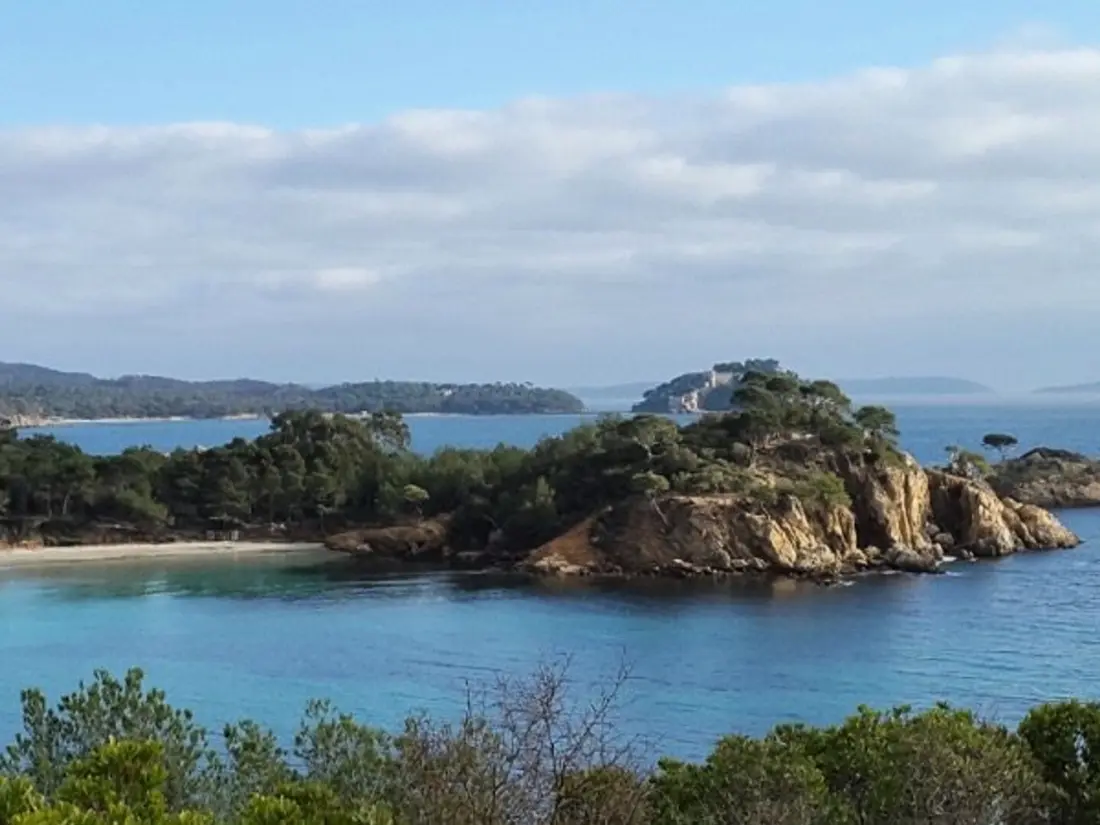 Location de Vacances Bormes-les-Mimosas 249