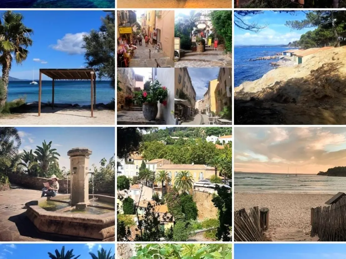 Location de Vacances Bormes-les-Mimosas 249
