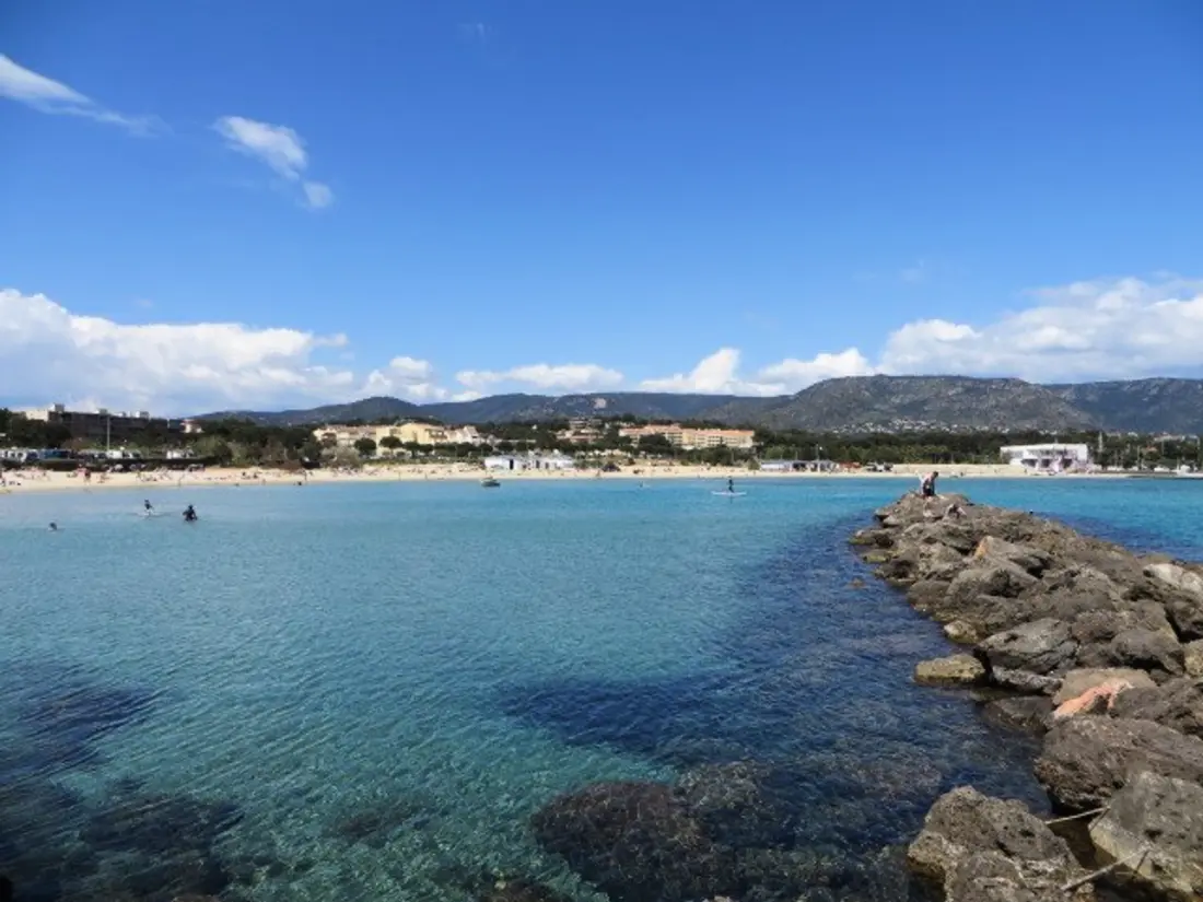 Location de Vacances Bormes-les-Mimosas 251