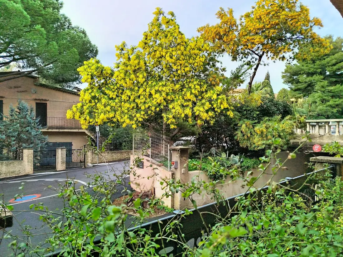 Location de Vacances Bormes-les-Mimosas 252