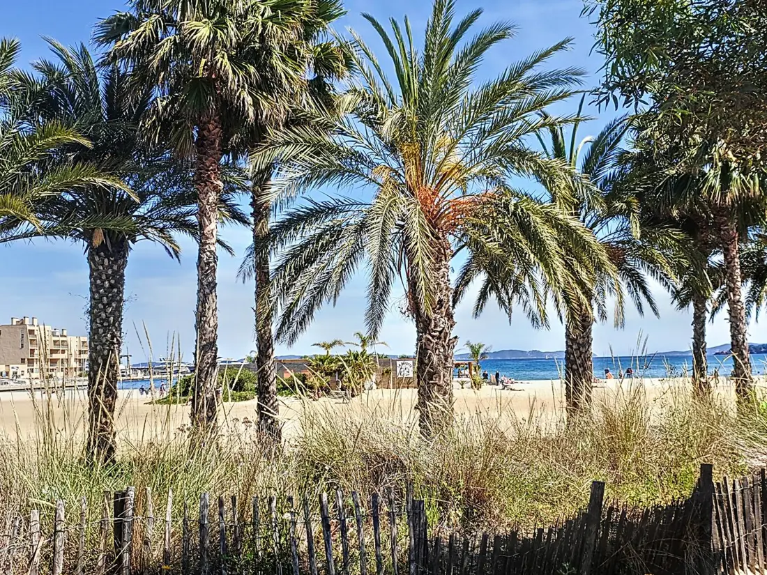 Location de Vacances Bormes-les-Mimosas 254