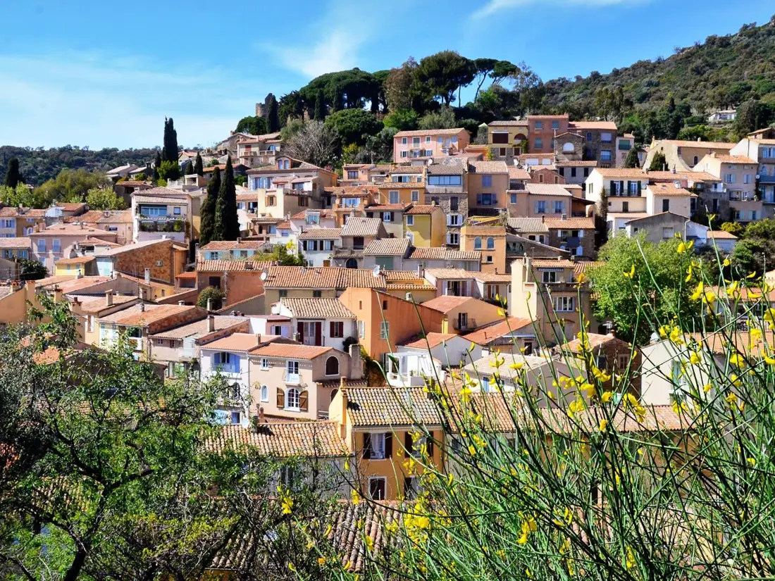 Location de Vacances Bormes-les-Mimosas 254