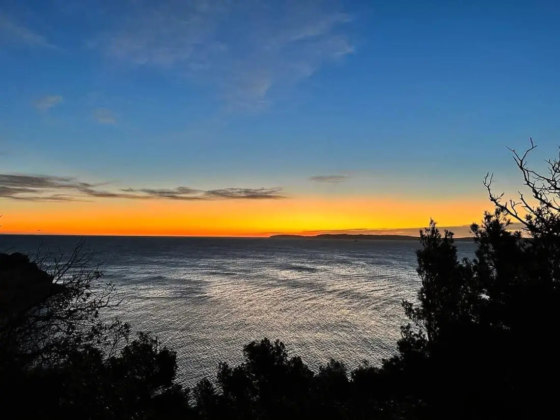 Location de Vacances Bormes-les-Mimosas 254
