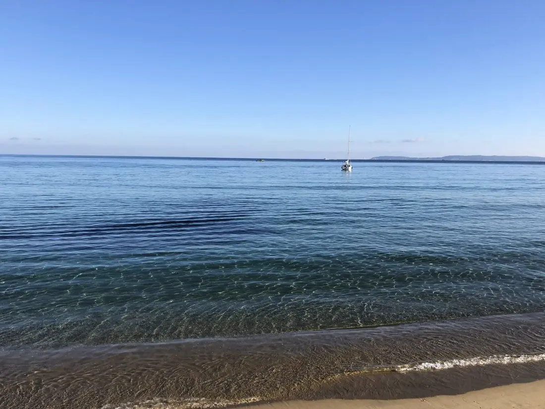 Location de Vacances Bormes-les-Mimosas 256