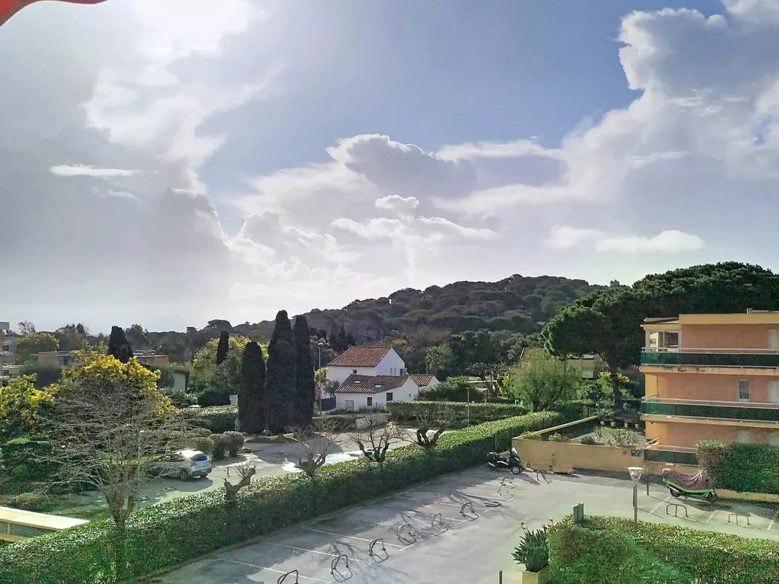 Location de Vacances Bormes-les-Mimosas 256
