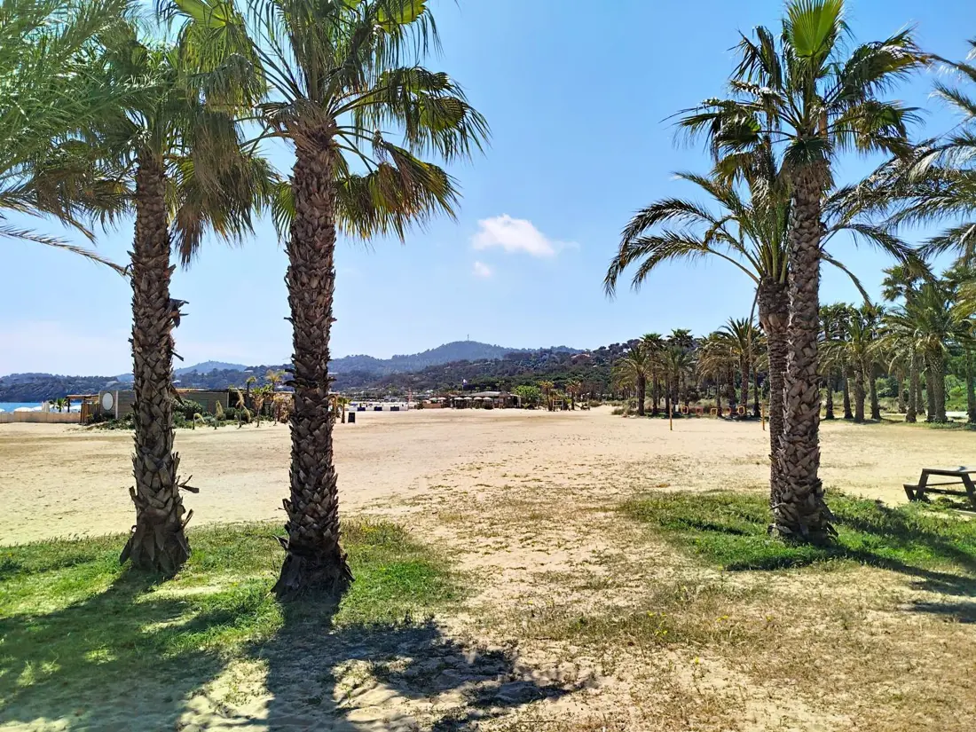 Location de Vacances Bormes-les-Mimosas 262