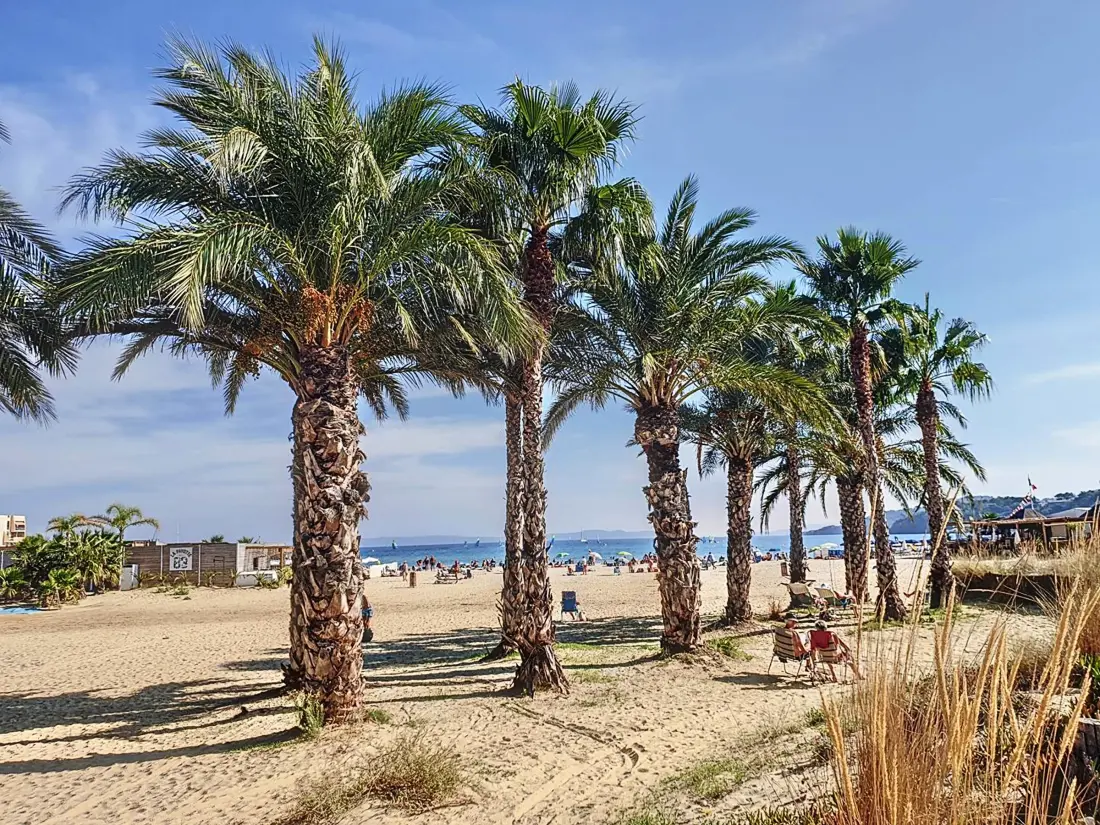 Location de Vacances Bormes-les-Mimosas 265