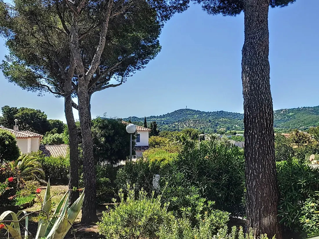 Location de Vacances Bormes-les-Mimosas 265