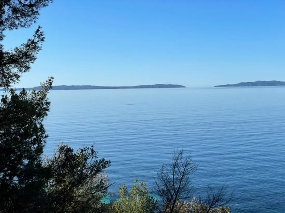 Location de Vacances Bormes-les-Mimosas 265