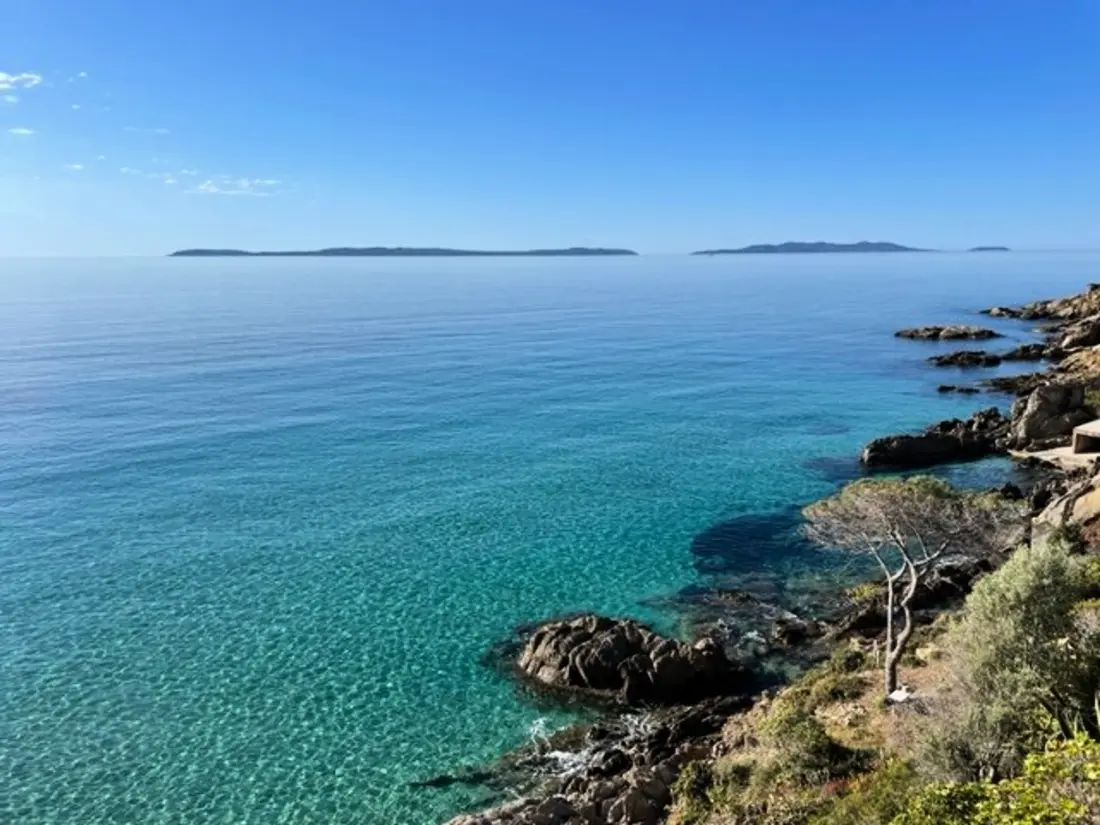 Location de Vacances Bormes-les-Mimosas 266