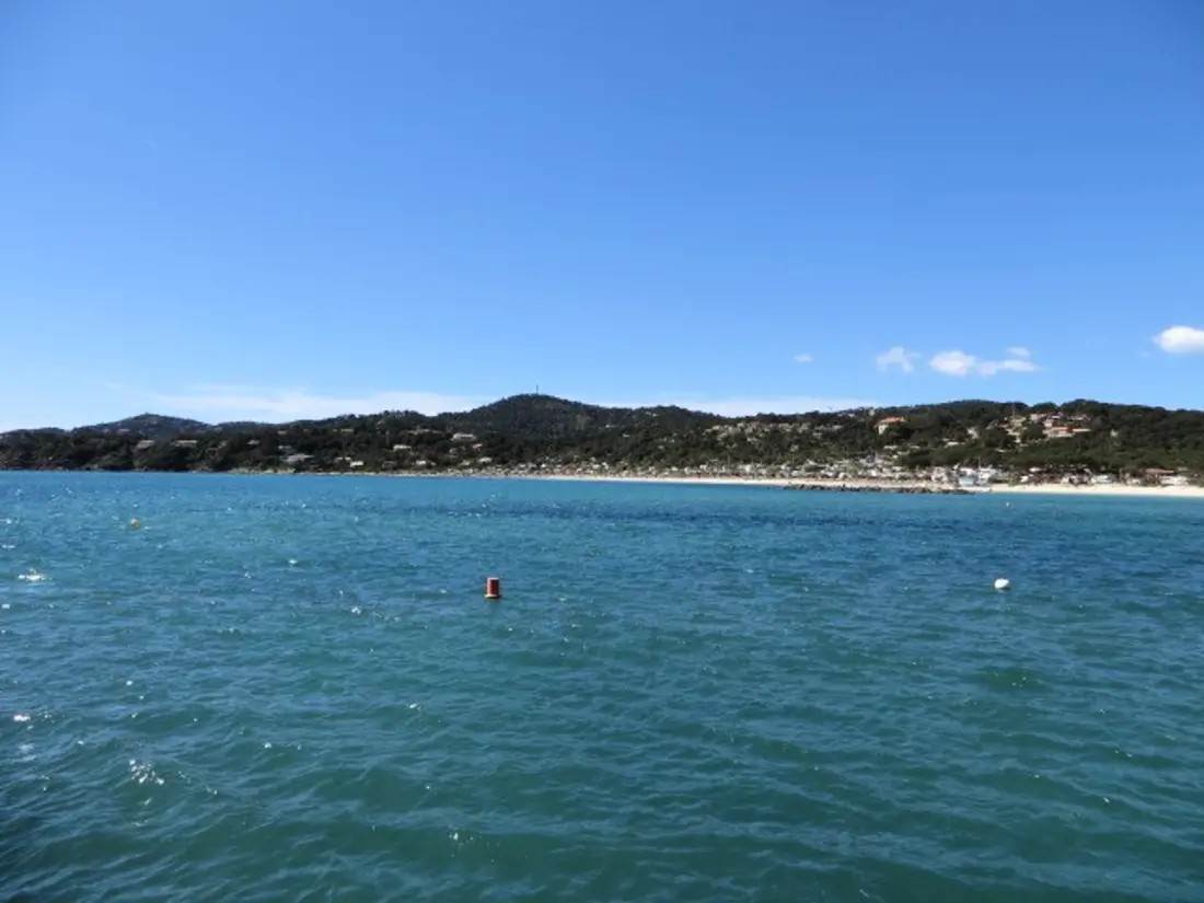 Location de Vacances Bormes-les-Mimosas 267