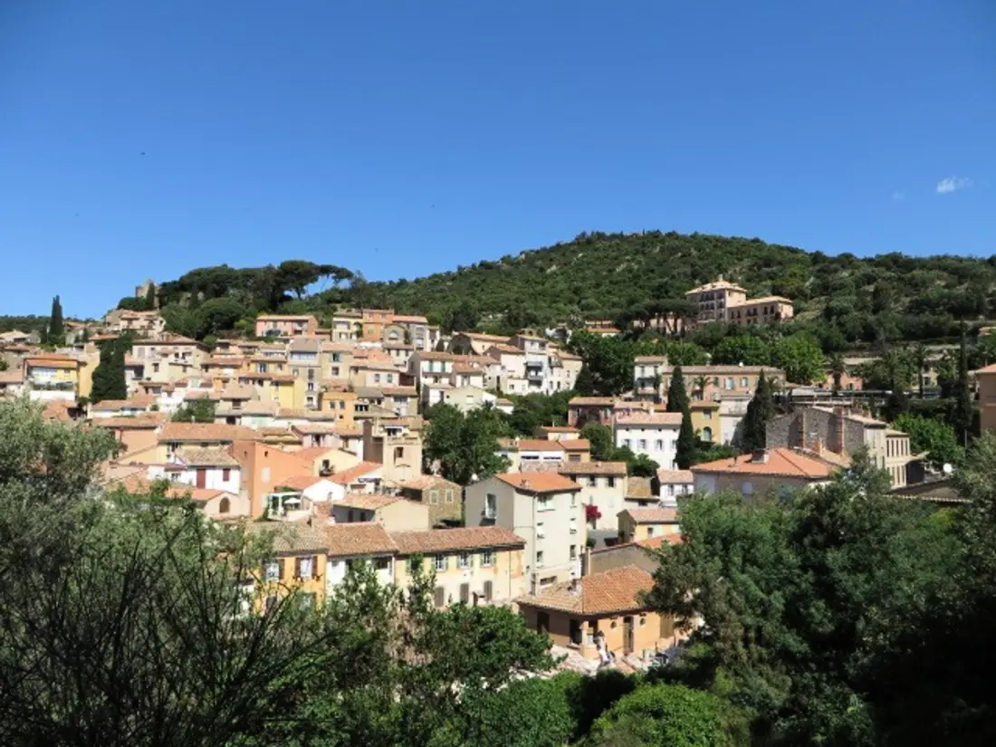 Location de Vacances Bormes-les-Mimosas 267