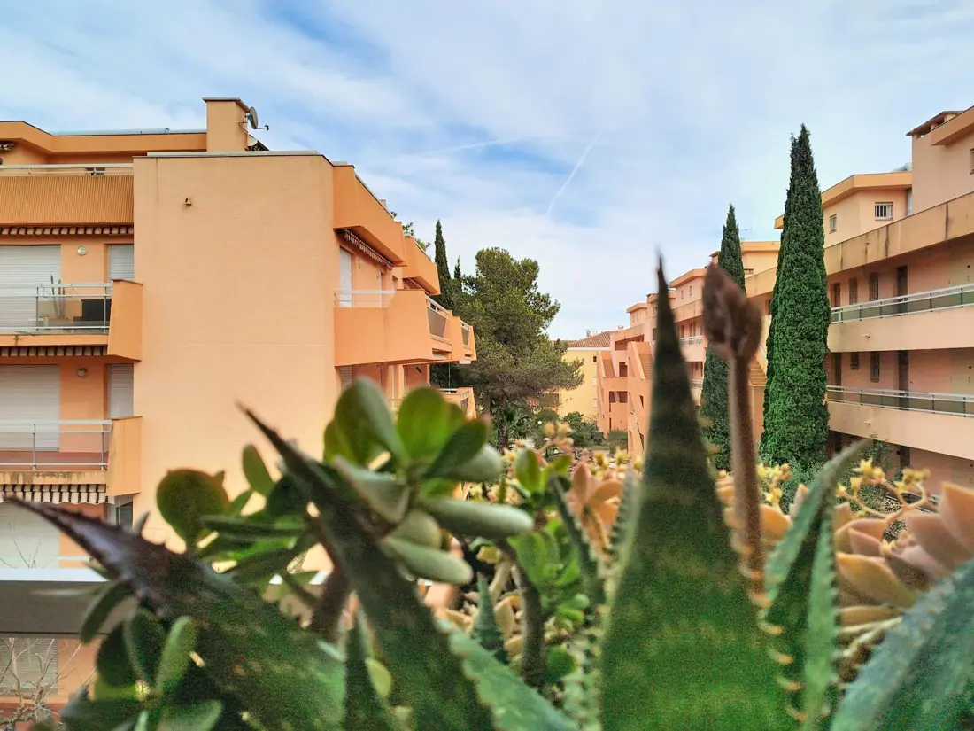 Location de Vacances Bormes-les-Mimosas 271