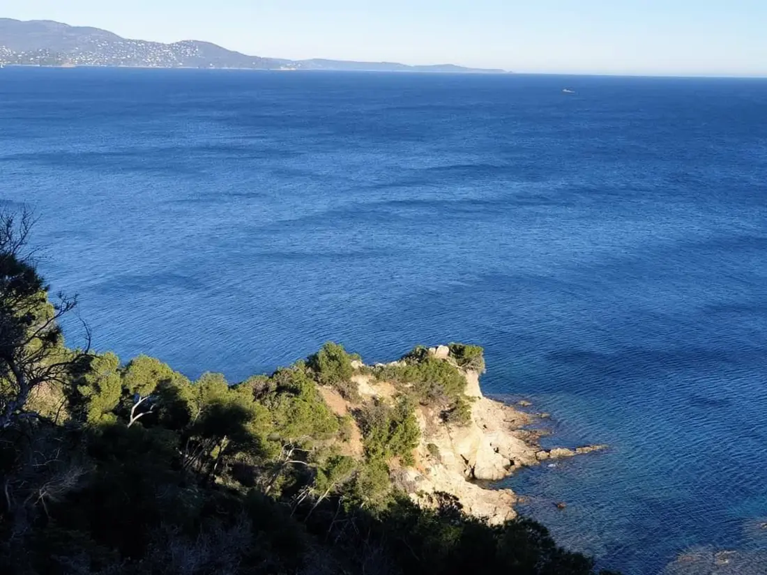 Location de Vacances Bormes-les-Mimosas 271