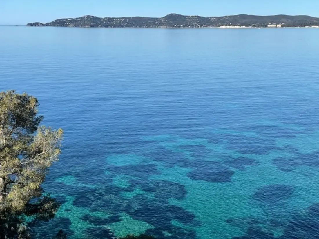 Location de Vacances Bormes-les-Mimosas 274