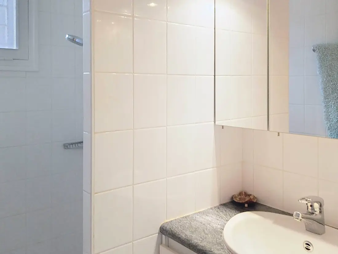 Location de Vacances Bormes-les-Mimosas 274