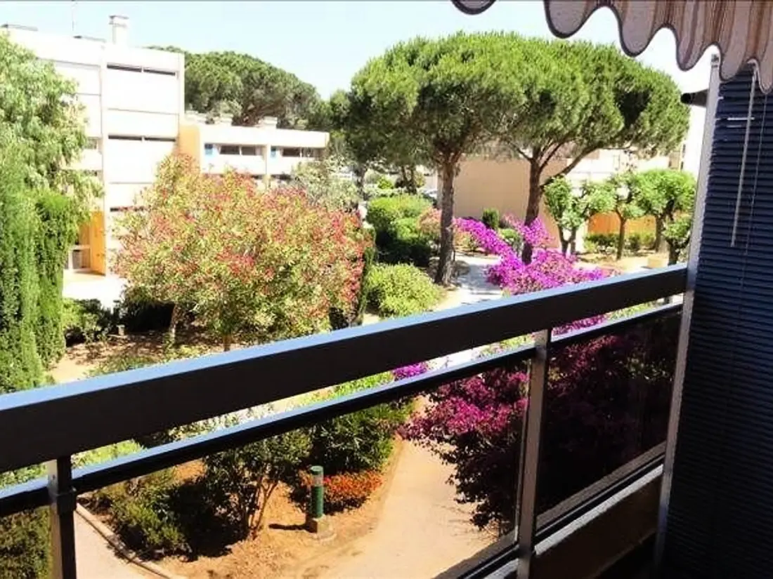 Location de Vacances Bormes-les-Mimosas 275