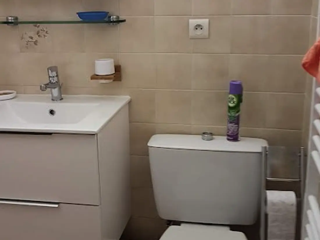 Location de Vacances Bormes-les-Mimosas 275