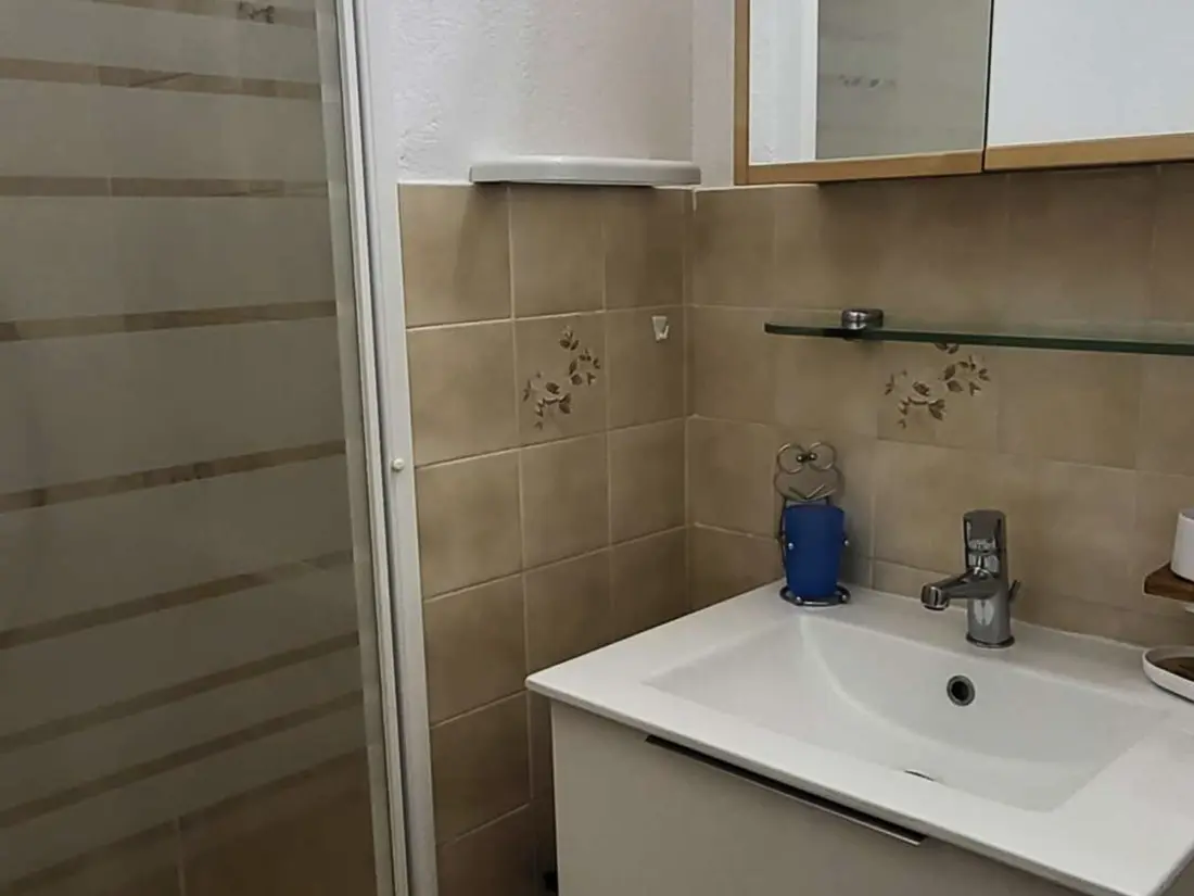 Location de Vacances Bormes-les-Mimosas 275