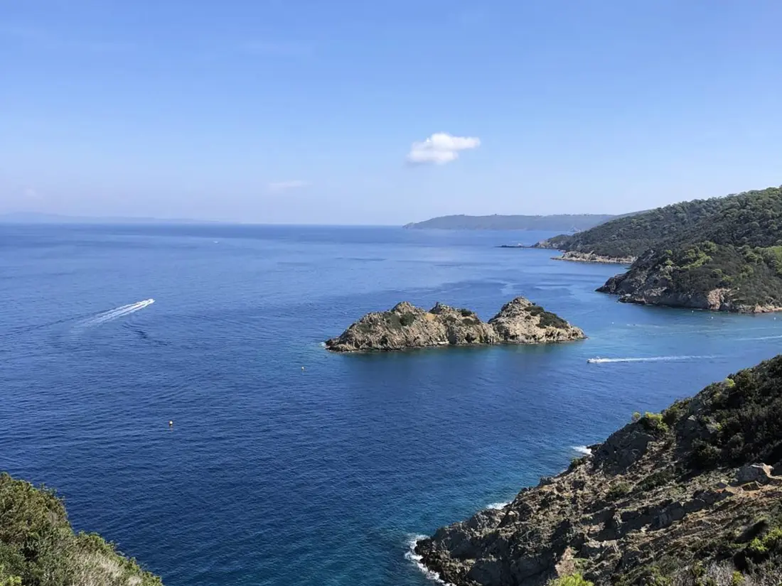 Location de Vacances Bormes-les-Mimosas 275