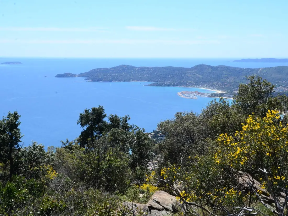 Location de Vacances Bormes-les-Mimosas 280