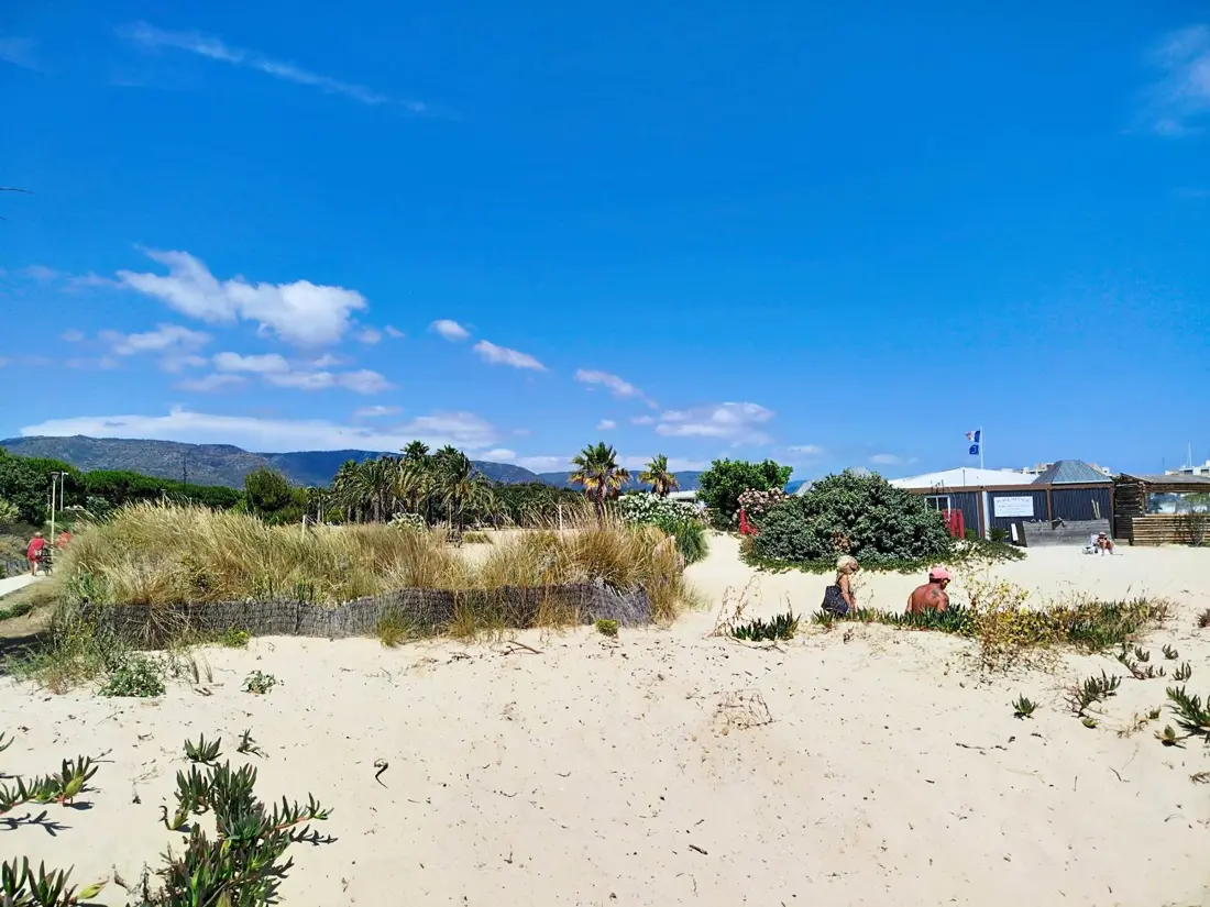 Location de Vacances Bormes-les-Mimosas 280