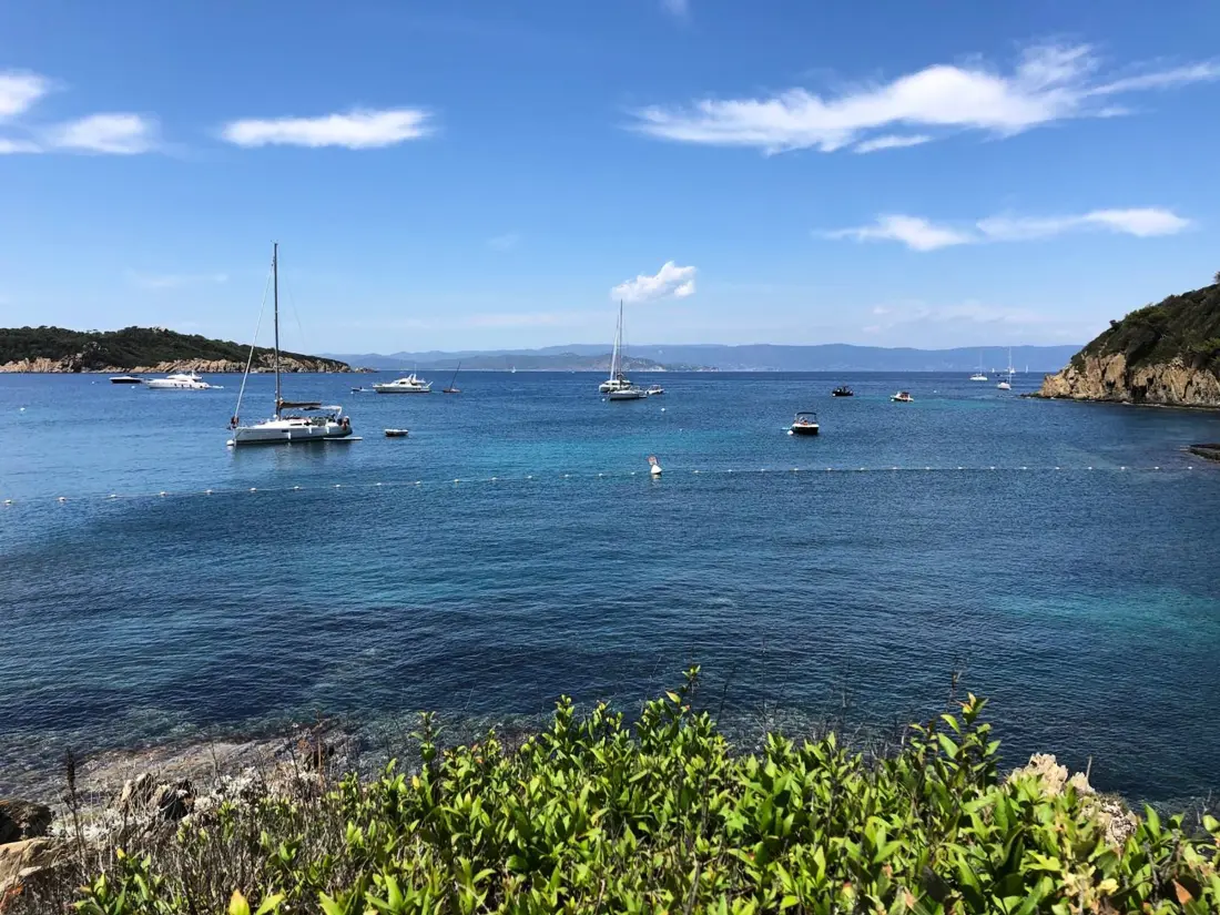 Location de Vacances Bormes-les-Mimosas 283