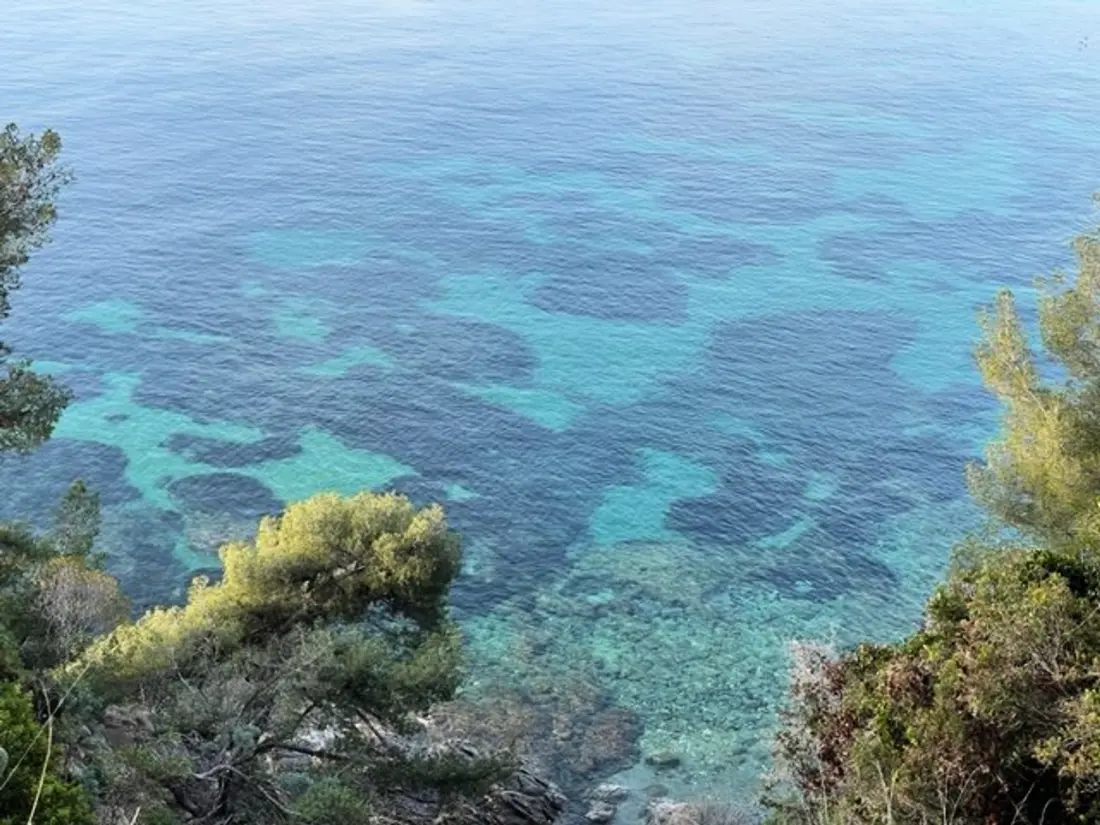 Location de Vacances Bormes-les-Mimosas 54