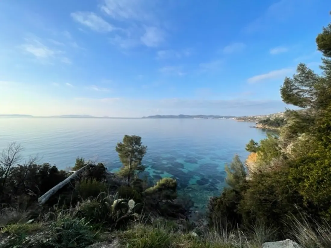 Location de Vacances Bormes-les-Mimosas 60