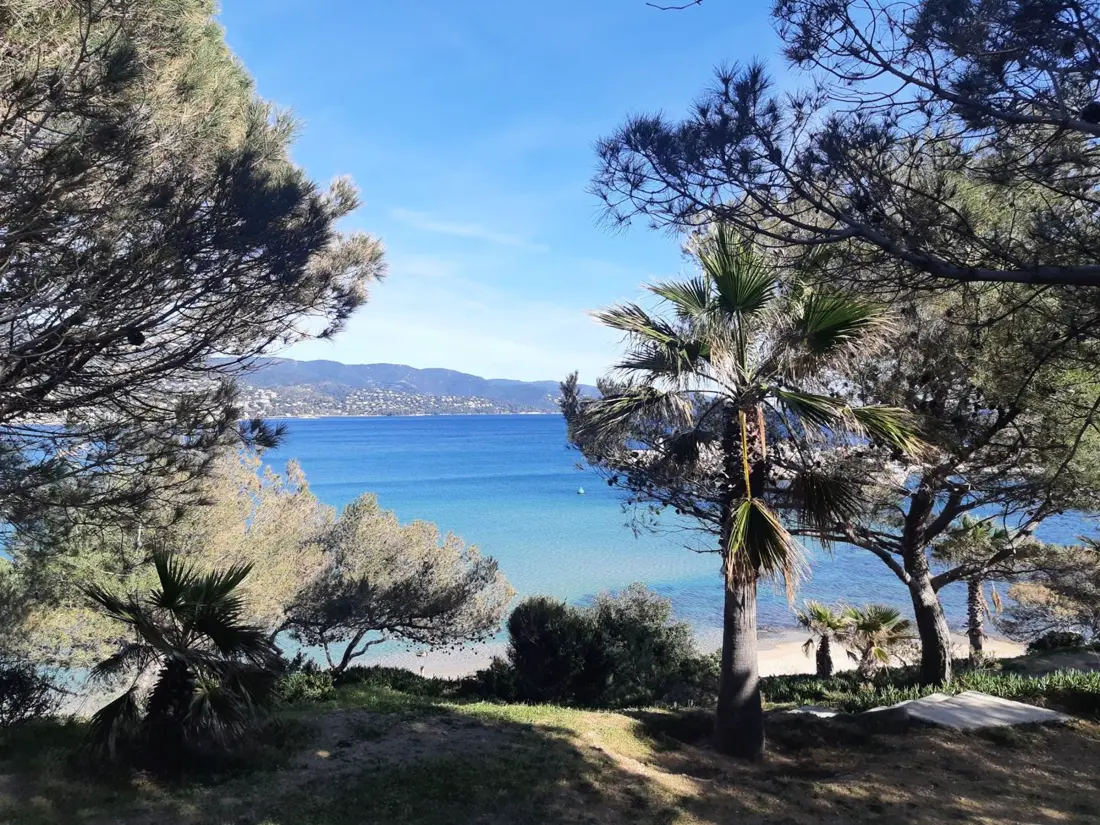 Location de Vacances Bormes-les-Mimosas 62
