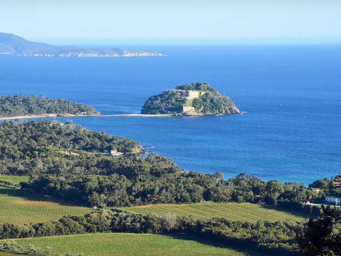 Location de Vacances Bormes-les-Mimosas 62