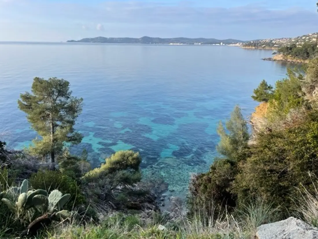 Location de Vacances Bormes-les-Mimosas 77