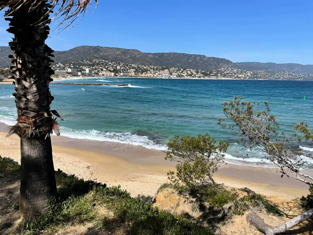 Location de Vacances Bormes-les-Mimosas 77
