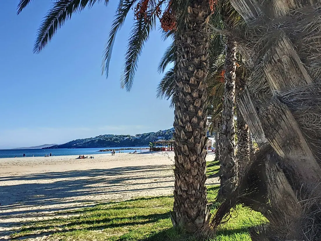 Location de Vacances Bormes-les-Mimosas 78