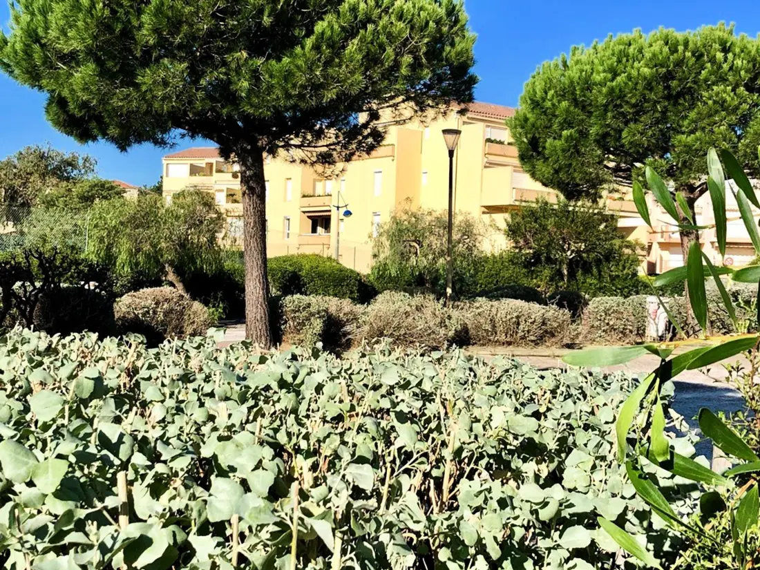 Location de Vacances Bormes-les-Mimosas 81