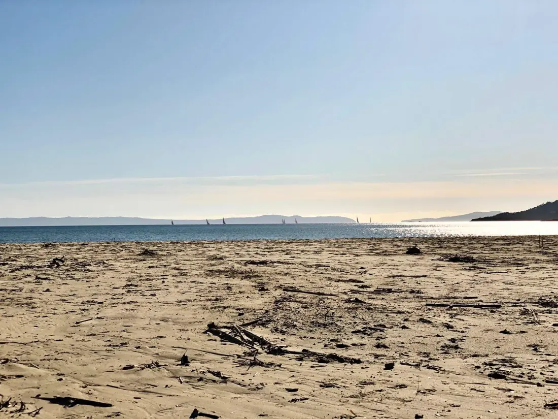 Location de Vacances Bormes-les-Mimosas 81